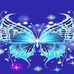 Robin Marie Knickerbocker - Facebook