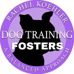 Foster Dogs - Rachel Koehler Dog Training - @rkdtfosterdogs - Instagram