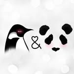 Rachel and Lacy - @penguinandpandamakeup - Instagram
