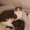 Rachel Courtney Lammers - @rachel.courtney.l - TikTok