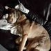 Rachel Lantz - Facebook