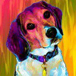 Rachel Lederman - @rdladybug18 - Instagram