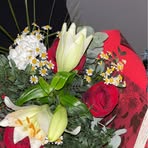 Rachel Ledoux - Facebook