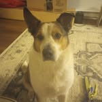 Rachel L. Lepine - @rachel_lynn2000 - Instagram