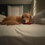 Rachel Lepine - Facebook