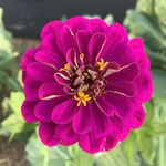 Rachel Lepine - @ralepine - Instagram