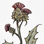 Rachel LePine - @thistlethorn_art - Instagram