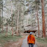 Rachel Lindner - @treesandoils - Instagram