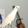 rachelloo - @rachellooo.hello - TikTok