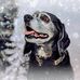 Rachelle Marcil Loranger - Facebook