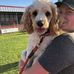 Rachel Litz Mackrell - Facebook