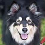 Rachel Mager - @willowdogdesigns - Instagram
