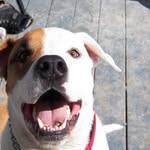 Rachel Maines - @that.little.rascal - Instagram