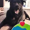 Rachel Maresh - @rachel.maresh - TikTok