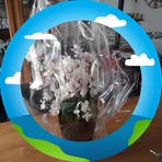 Rachel Mathieu - Facebook
