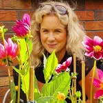 Rachel McDowell - @_thenovicegardener_ - Instagram