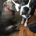 Rachel Mello - Facebook