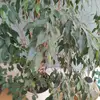 rachelmillard772 - @rachelmillard772 - TikTok