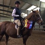 Rachel Moorman - @equine_babs - Instagram