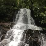 Rachel Moorman - @rachel.moorman.39 - Instagram