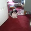 morrellrachel - @morrellrachel - TikTok