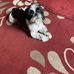 Rachel Morrell - Facebook