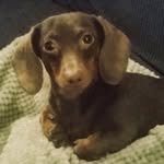 Rachel Morrell Watson - @rachelmorrellwatson - Instagram