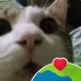 Rachel Moyer - Facebook