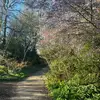 rachel.needham - @rachel.needham - TikTok
