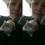 Rachel Nelms West - @rascally.rachel - Instagram