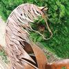rachelnormand - @rachelnormand.creachel - TikTok