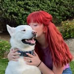 Rachel Null - @emotion.null - Instagram