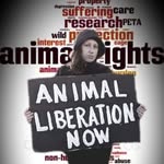 Rachel Ogden - @animalliberationnow24 - Instagram