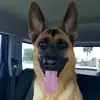 Rachel Penn - @31030799019 - TikTok