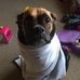 Rachel Perron - Facebook