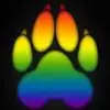 Rachel Perron - @rachel.perron2 - TikTok