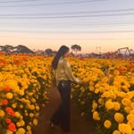 Rachel Pham - @rachelpham__ - Instagram