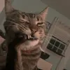Rachel Rapine - @rachel_rapine - TikTok