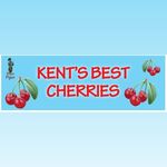 Rachel - Piper Cherries - @pipercherries - Instagram
