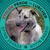 Rachel Piper - Facebook