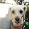 rachelpiper329 - @rachelpiper329 - TikTok