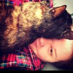 Rachel Pomeroy - @rachelfivetwo - Instagram