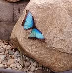 Rachel Ryner - Facebook