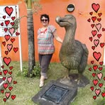 Rachel Ruppert - Facebook