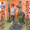 rachelruppert - @rachelruppert - TikTok