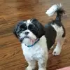 Rachel Saenz - @rachelsaenz5 - TikTok