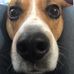 Rachael Saylor - Facebook