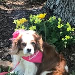 Rachel Saylor - @rachel.saylor.73 - Instagram
