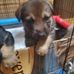 Rachel Saylor - Facebook