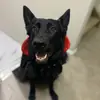 Rachel Scheffelmiar - @rachel.scheffelmi - TikTok